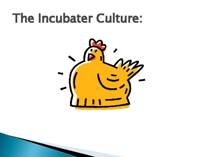 The Incubater Culture: 
