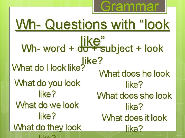 Grammar Wh- Questions with “look like” Wh- word + do + subject + look