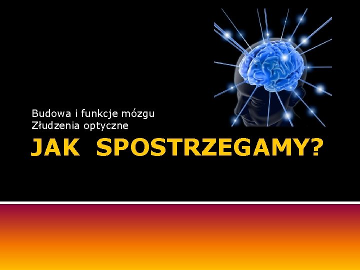 Budowa i funkcje mózgu Złudzenia optyczne JAK SPOSTRZEGAMY? 