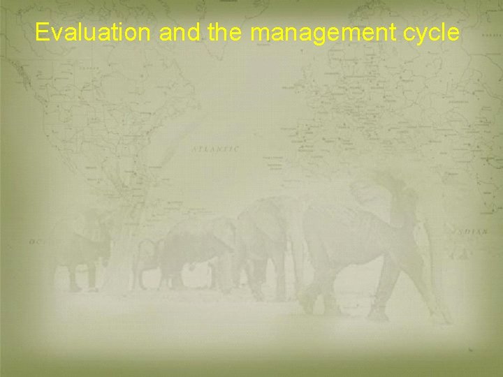 Evaluation and the management cycle 