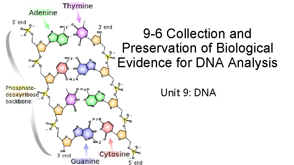 9 -6 Collection and Preservation of Biological Evidence for DNA Analysis Unit 9: DNA