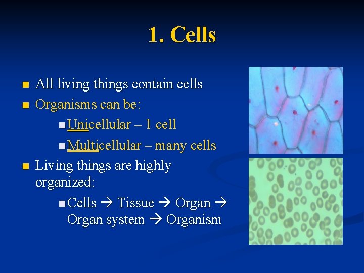 1. Cells n n n All living things contain cells Organisms can be: n