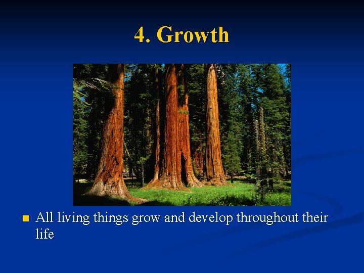 4. Growth n All living things grow and develop throughout their life 