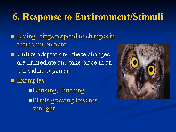 6. Response to Environment/Stimuli n n n Living things respond to changes in their