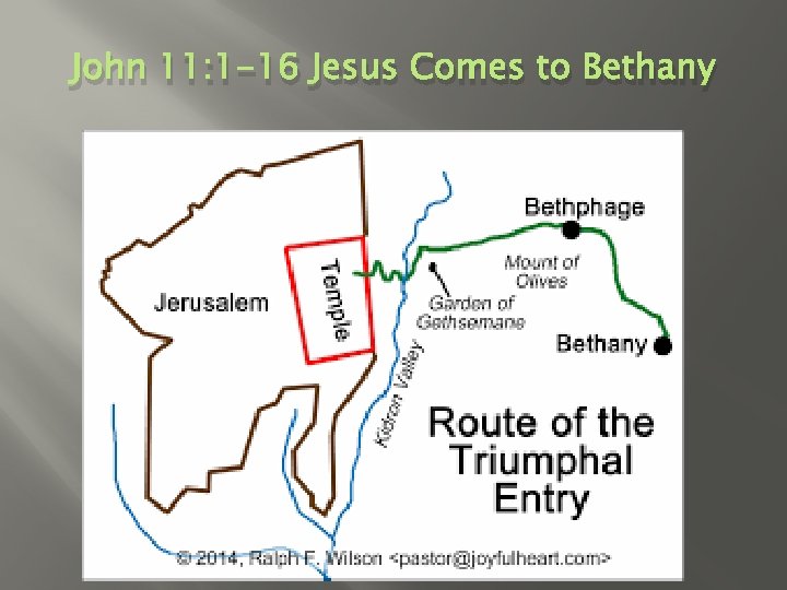 John 11: 1 -16 Jesus Comes to Bethany 