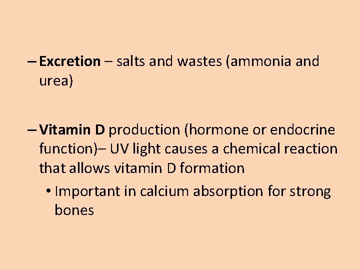 – Excretion – salts and wastes (ammonia and urea) – Vitamin D production (hormone – Excretion – salts and wastes (ammonia and urea) – Vitamin D production (hormone