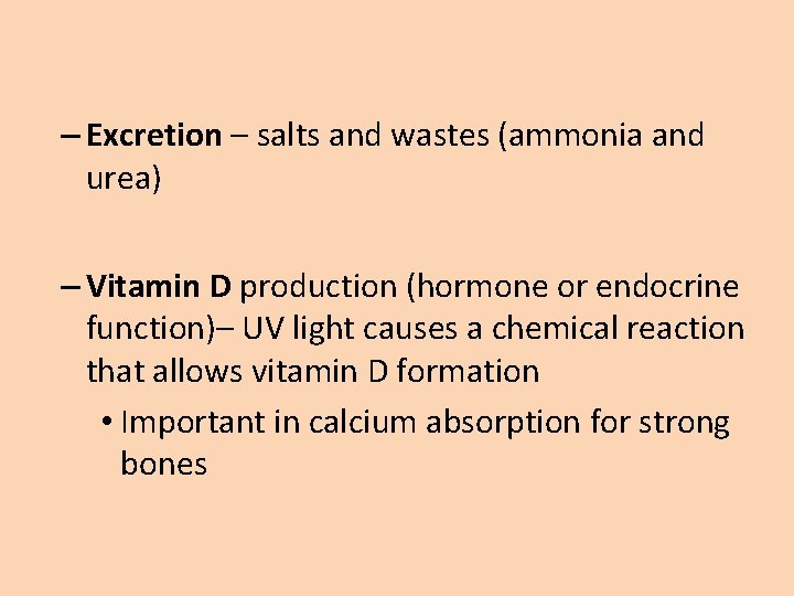 – Excretion – salts and wastes (ammonia and urea) – Vitamin D production (hormone