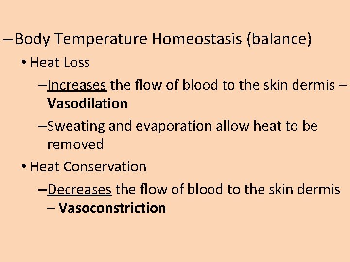 – Body Temperature Homeostasis (balance) • Heat Loss –Increases the flow of blood to