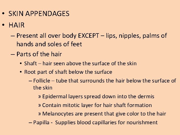 • SKIN APPENDAGES • HAIR – Present all over body EXCEPT – lips,