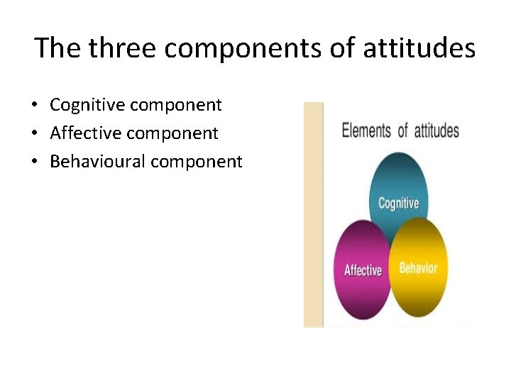 The three components of attitudes • Cognitive component • Affective component • Behavioural component