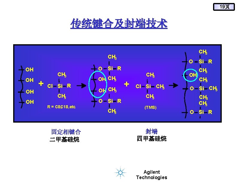 19页 传统键合及封端技术 CH 3 OH OH CH 3 + Cl Si R CH 3