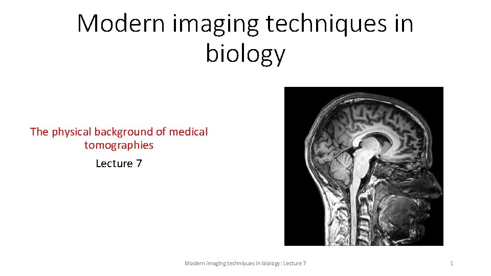 Modern imaging techniques in biology The physical background of medical tomographies Lecture 7 Modern