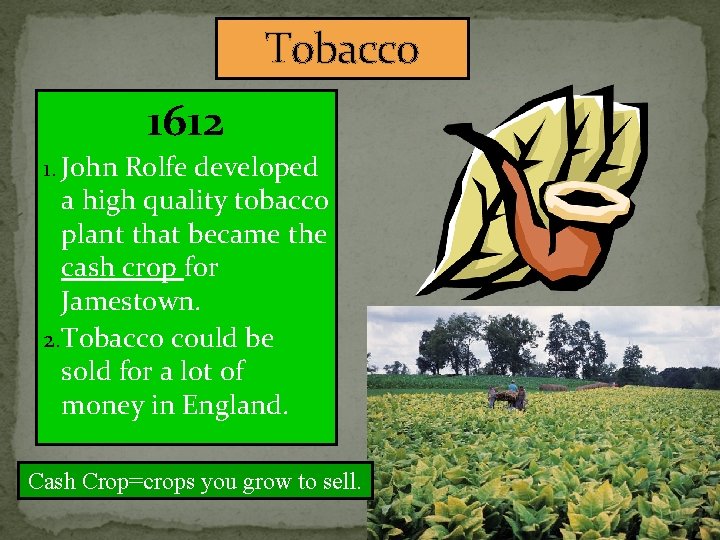 Tobacco 1612 1. John Rolfe developed a high quality tobacco plant that became the