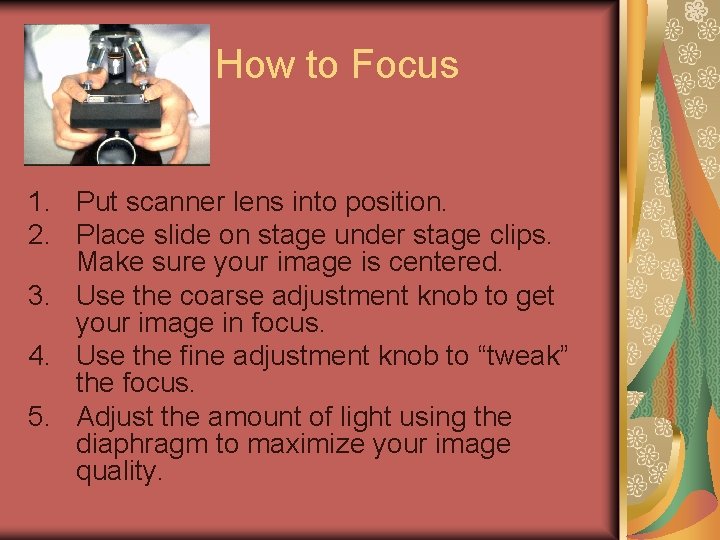 How to Focus 1. Put scanner lens into position. 2. Place slide on stage