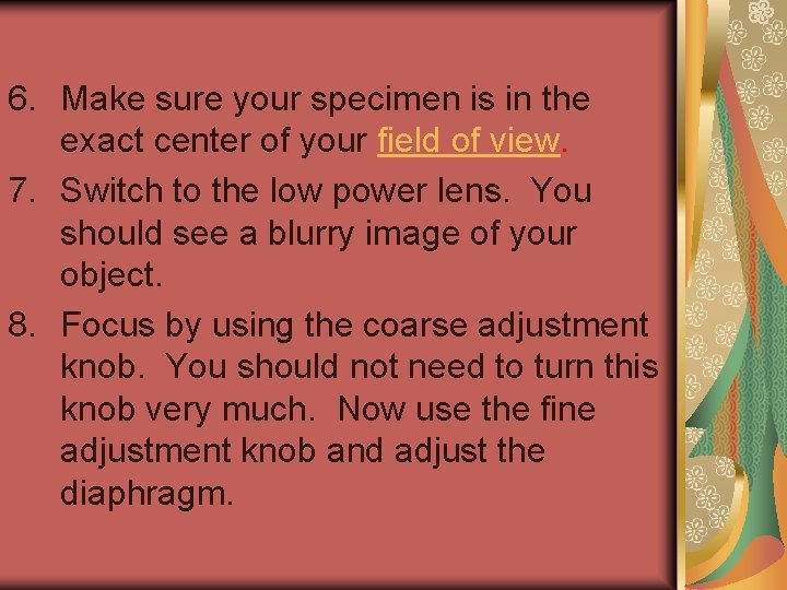 6. Make sure your specimen is in the exact center of your field of