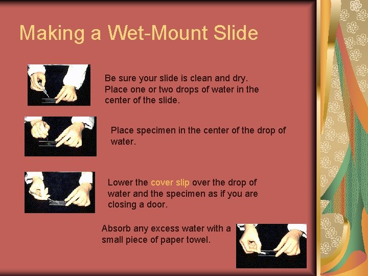 Making a Wet-Mount Slide Be sure your slide is clean and dry. Place one