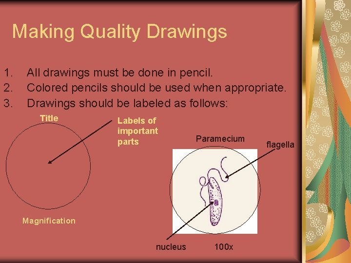 Making Quality Drawings 1. 2. 3. All drawings must be done in pencil. Colored
