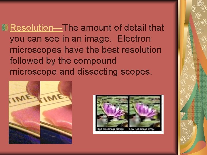 Resolution—The amount of detail that you can see in an image. Electron microscopes have