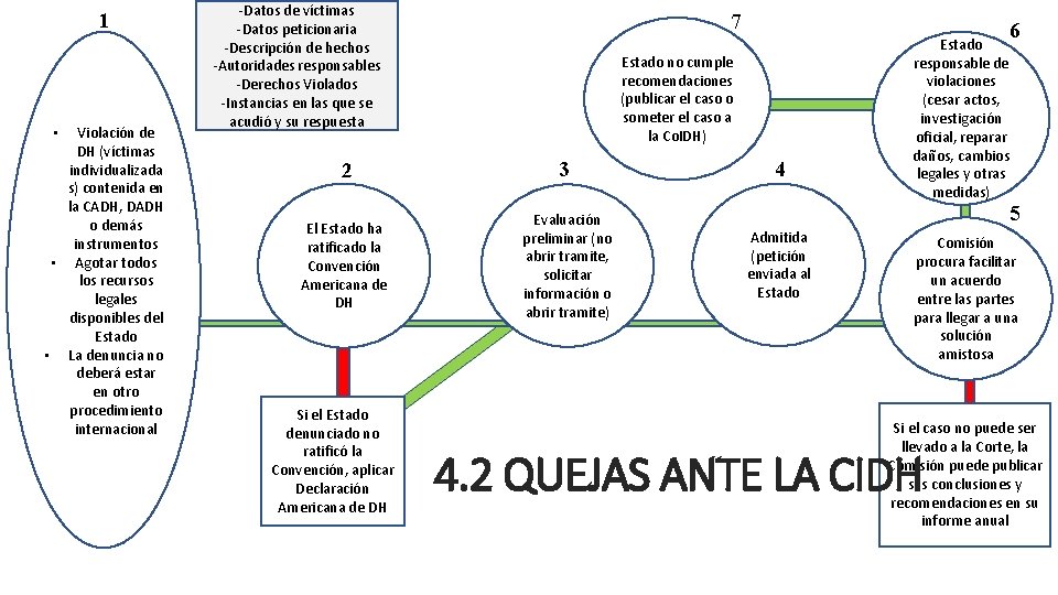 1 Violación de DH (víctimas individualizada s) contenida en la CADH, DADH o demás