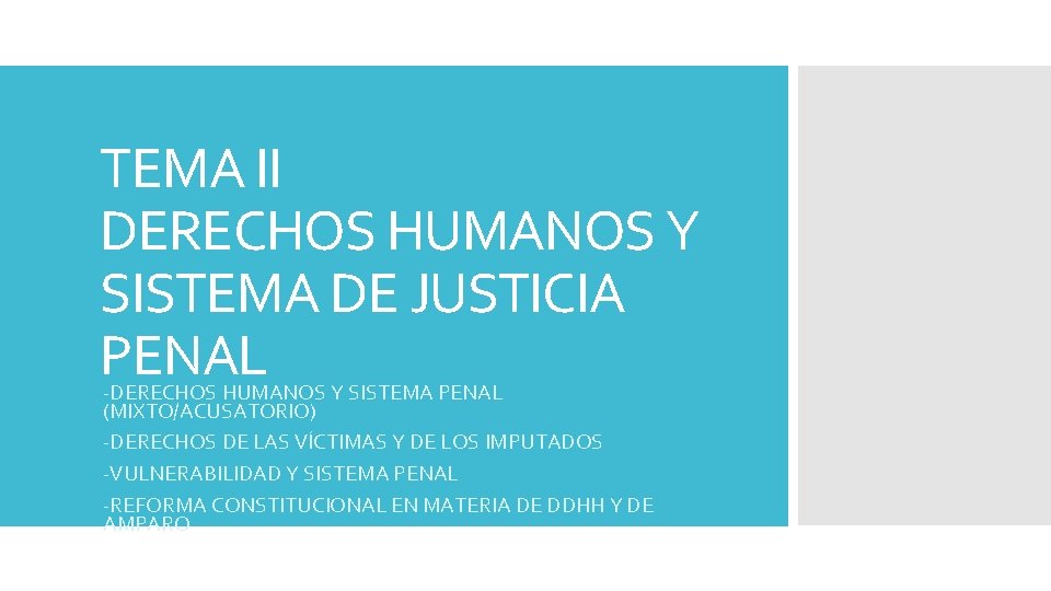 TEMA II DERECHOS HUMANOS Y SISTEMA DE JUSTICIA PENAL -DERECHOS HUMANOS Y SISTEMA PENAL