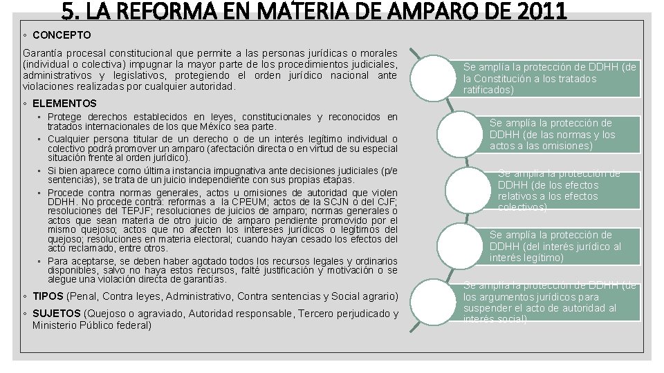 5. LA REFORMA EN MATERIA DE AMPARO DE 2011 ◦ CONCEPTO Garantía procesal constitucional