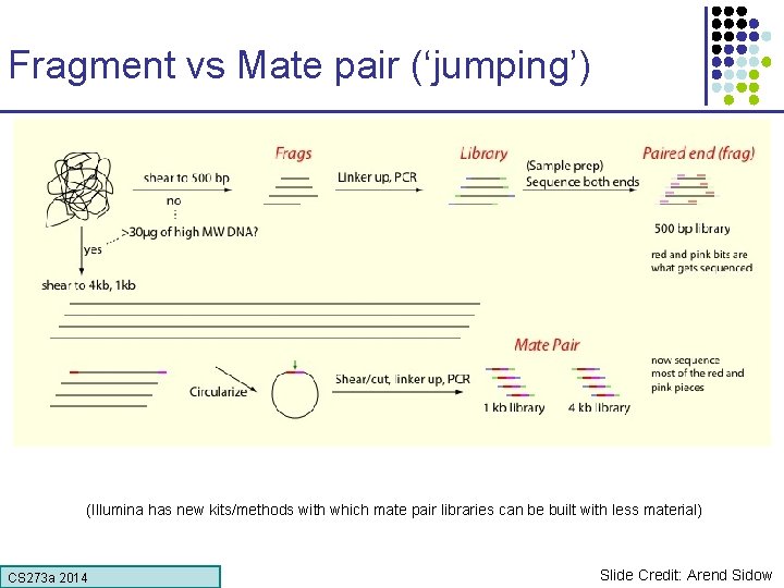 Fragment vs Mate pair (‘jumping’) (Illumina has new kits/methods with which mate pair libraries