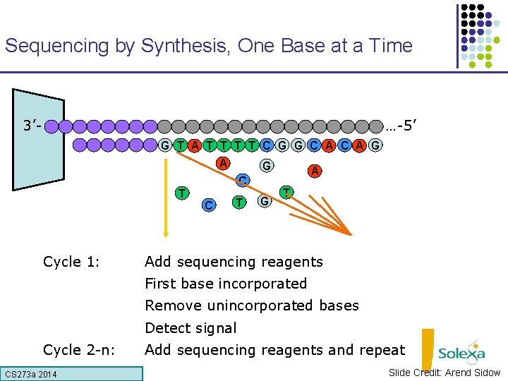 Sequencing by Synthesis, One Base at a Time 3’- …-5’ G T A T