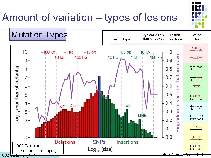 Amount of variation – types of lesions Mutation Types “we’re heterozygous in every thousandth