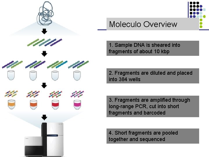 Moleculo Overview 1. Sample DNA is sheared into fragments of about 10 kbp 2.