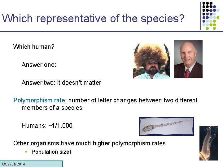 Which representative of the species? Which human? Answer one: Answer two: it doesn’t matter