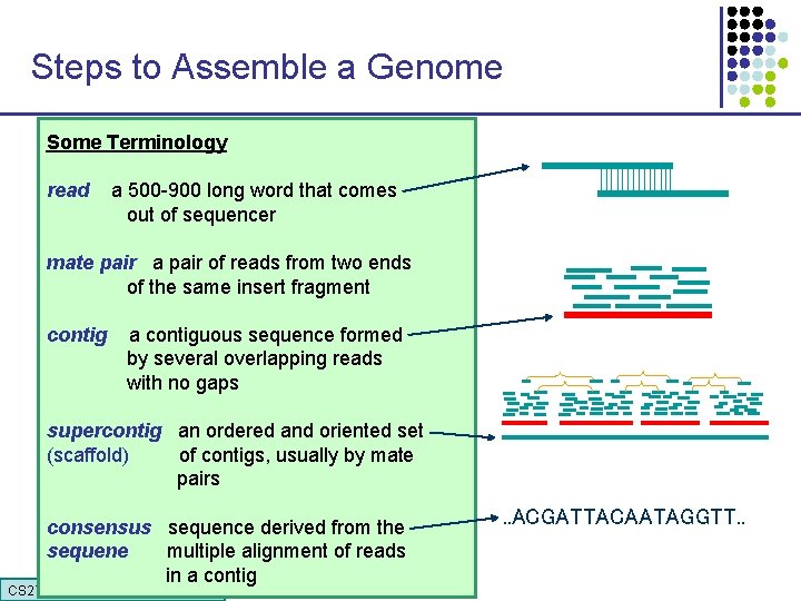 Steps to Assemble a Genome Some Terminology 1. Find overlapping readsthat comes read a