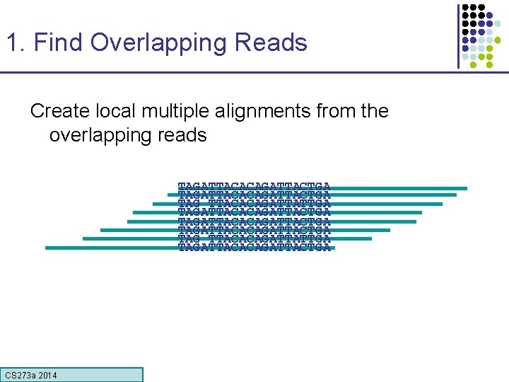 1. Find Overlapping Reads Create local multiple alignments from the overlapping reads TAGATTACACAGATTACTGA TAG