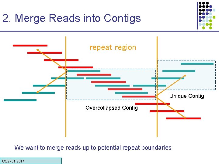 2. Merge Reads into Contigs repeat region Unique Contig Overcollapsed Contig We want to