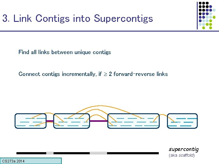 3. Link Contigs into Supercontigs Find all links between unique contigs Connect contigs incrementally,
