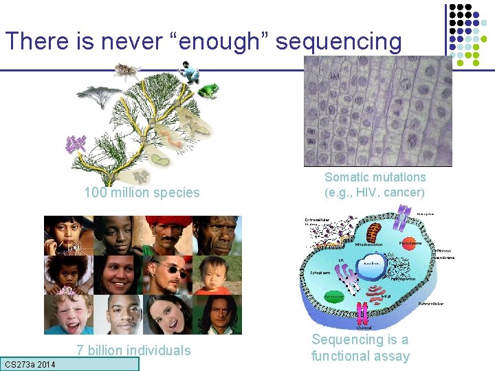 There is never “enough” sequencing 100 million species 7 billion individuals CS 273 a