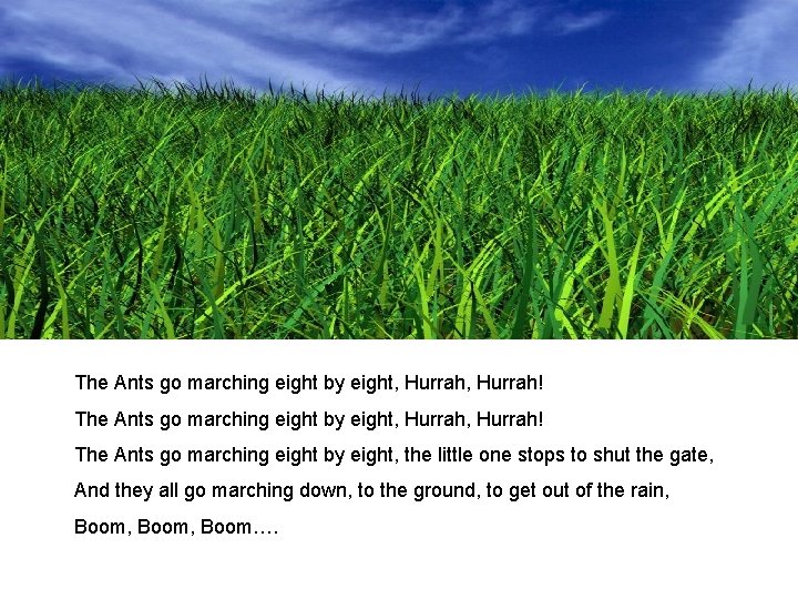 The Ants go marching eight by eight, Hurrah, Hurrah! The Ants go marching eight