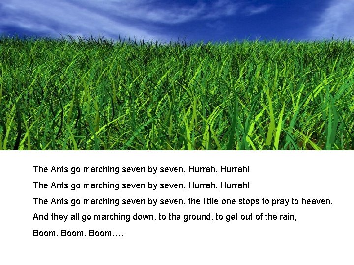 The Ants go marching seven by seven, Hurrah, Hurrah! The Ants go marching seven