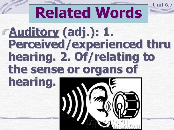 Related Words Unit 6. 5 Auditory (adj. ): 1. Perceived/experienced thru hearing. 2. Of/relating
