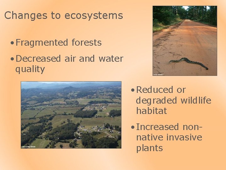 Changes to ecosystems • Fragmented forests • Decreased air and water quality • Reduced