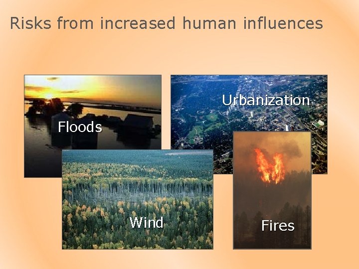 Risks from increased human influences Urbanization Floods Wind Fires 