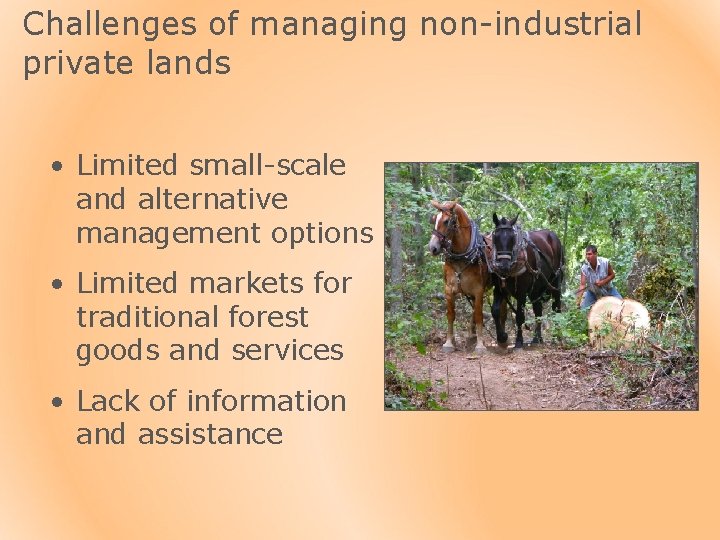 Challenges of managing non-industrial private lands • Limited small-scale and alternative management options •