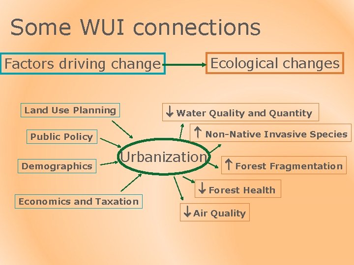 Some WUI connections Ecological changes Factors driving change Water Quality and Quantity Land Use