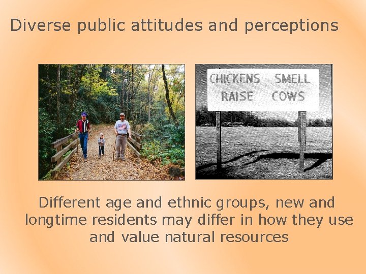 Diverse public attitudes and perceptions Different age and ethnic groups, new and longtime residents