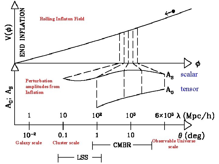 Rolling Inflaton Field Perturbation amplitudes from Inflation Galaxy scale Cluster scale scalar tensor Observable