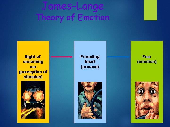 James-Lange Theory of Emotion Sight of oncoming car (perception of stimulus) Pounding heart (arousal)