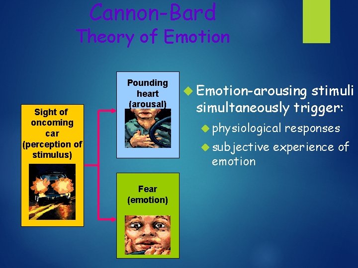 Cannon-Bard Theory of Emotion Sight of oncoming car (perception of stimulus) Pounding heart (arousal)