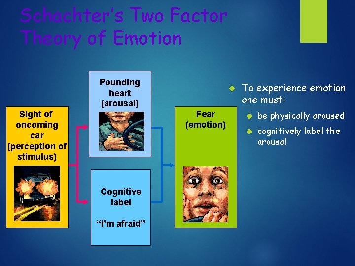 Schachter’s Two Factor Theory of Emotion Pounding heart (arousal) Sight of oncoming car (perception