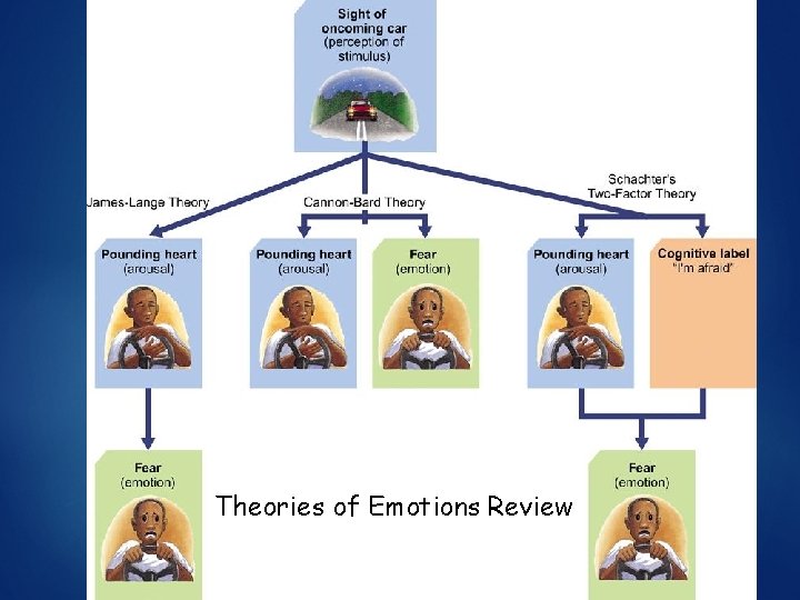 Theories of Emotions Review 