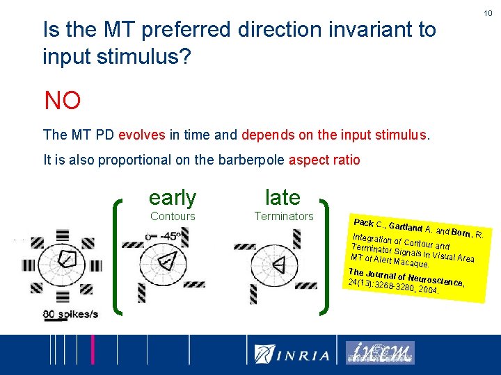 Is the MT preferred direction invariant to input stimulus? NO The MT PD evolves