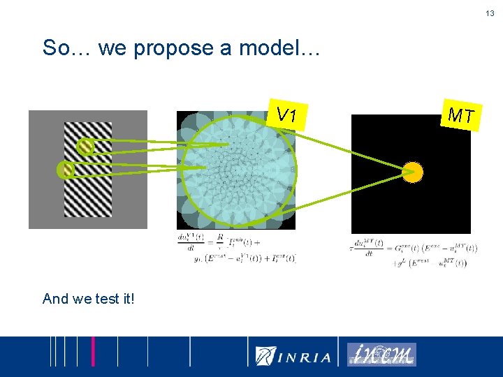 13 So… we propose a model… V 1 And we test it! MT 